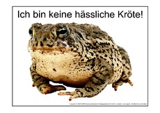 Hässliche-Kröte-2.pdf